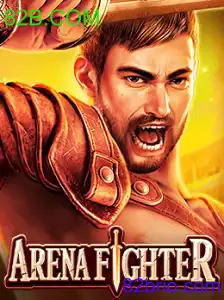 ArenaFighter